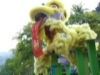 CNY Acrobatic Lion Dance Performance